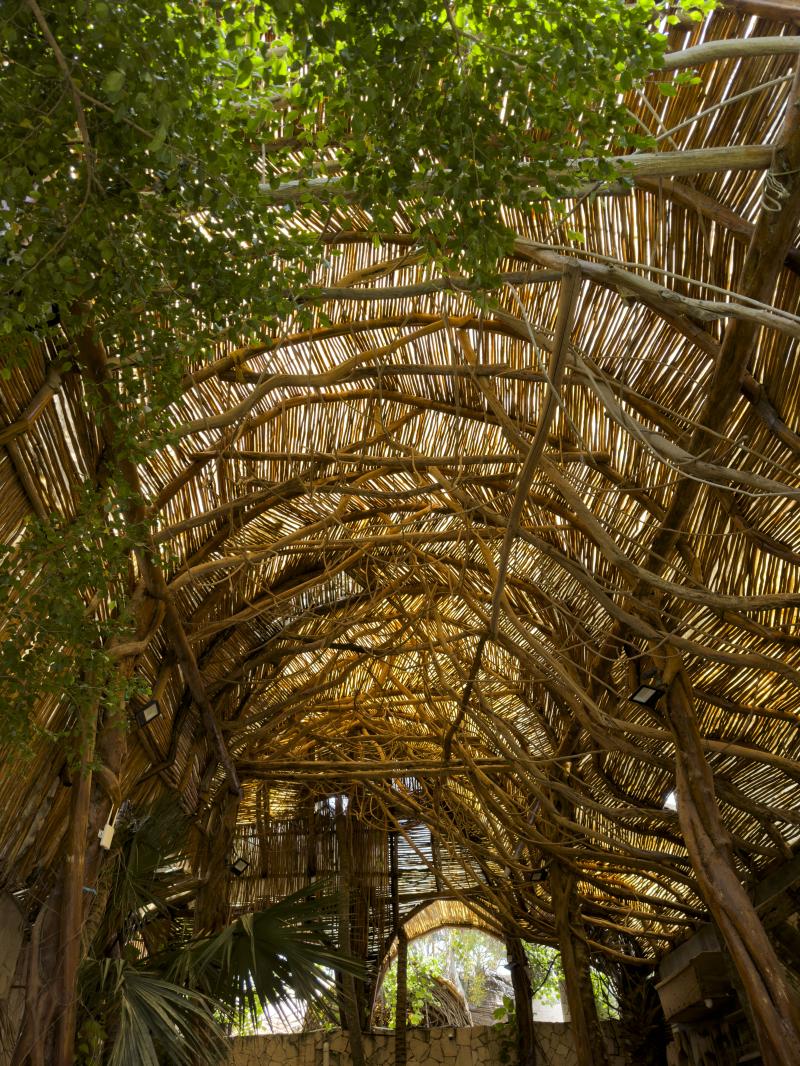 Cenote Experience Cenote Experience