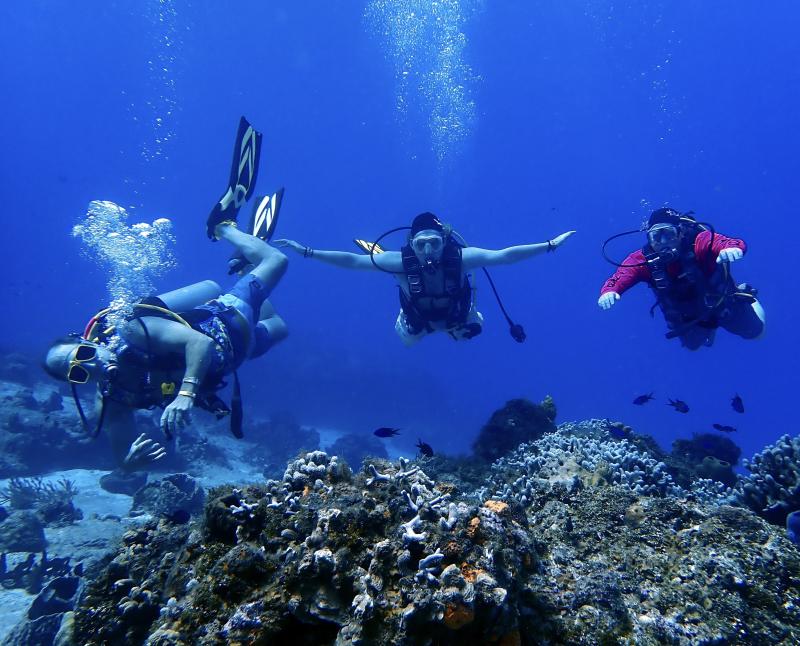 PADI Discover Scuba Course PADI Discover Scuba Course