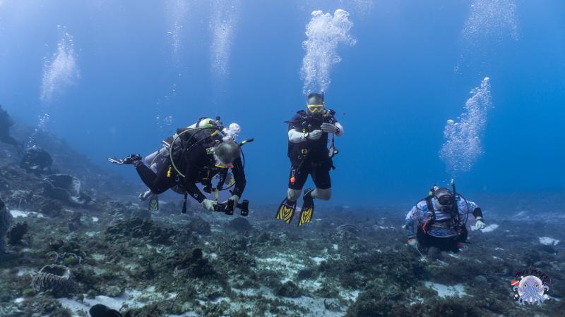 Single Day Dive Packages Single Day Dive Packages