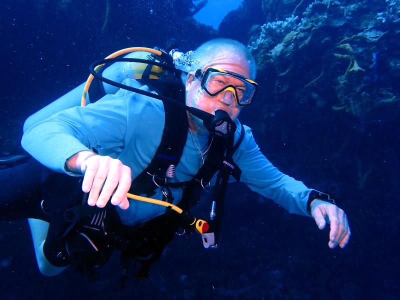 Single Day Dive Packages Single Day Dive Packages