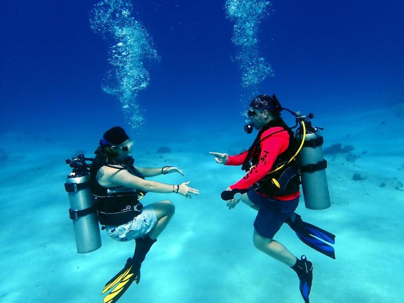 Single Day Dive Packages Single Day Dive Packages