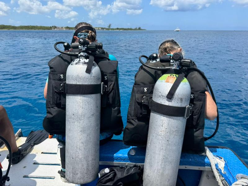 Single Day Dive Packages Single Day Dive Packages