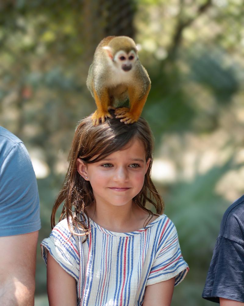 Monkey Snorkel Monkey Snorkel
