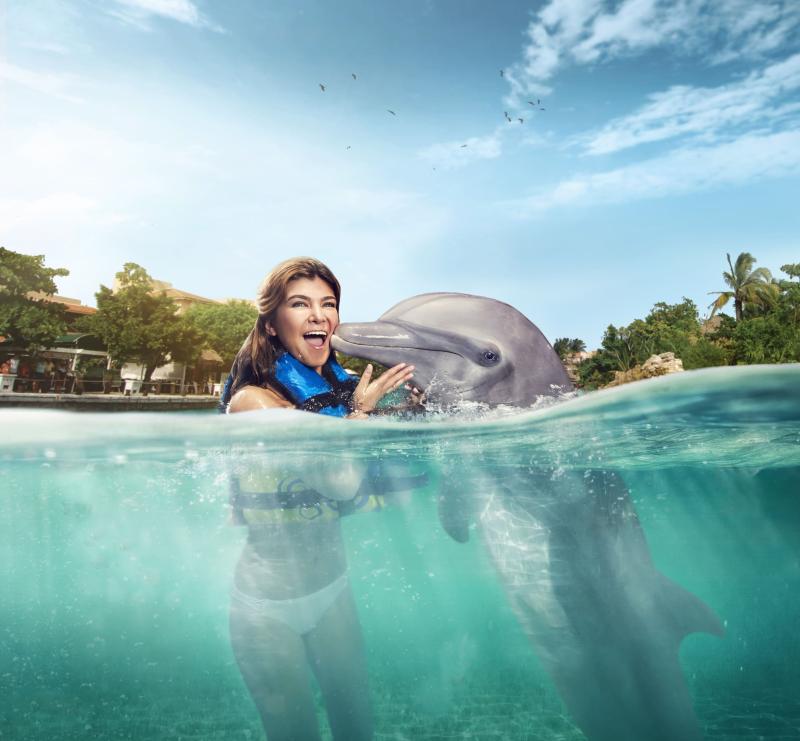 Akumal Dolphin Encounter Akumal Dolphin Encounter