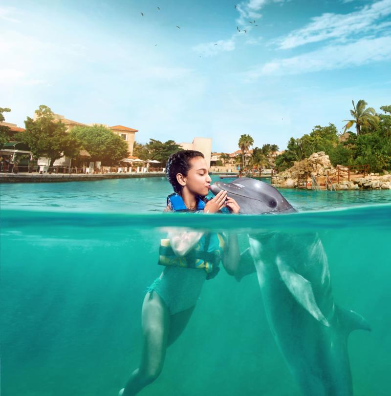 Akumal Dolphin Encounter Akumal Dolphin Encounter