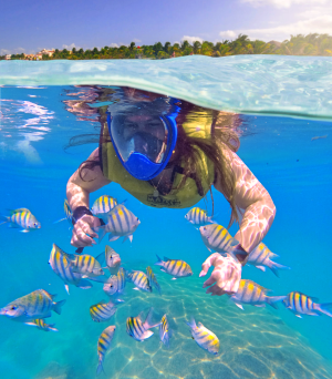 Atvs Xtreme Snorkel Atvs Xtreme Snorkel