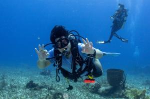 Paquetes de buceo de un día Paquetes de buceo de un día