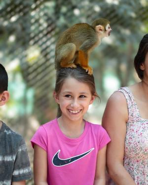 Monkey Snorkel Monkey Snorkel