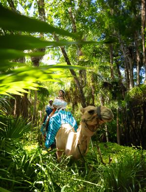 Camel Caravan Expedition Camel Caravan Expedition