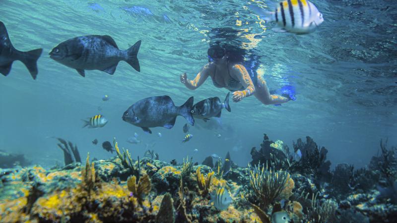 Luxury Sailing & Snorkeling Puerto Morelos