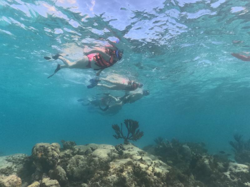 Catamaran & Reef Snorkel Basico Catamaran & Reef Snorkel Basico