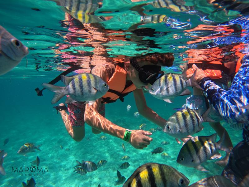 Catamaran & Reef Snorkel Deluxe