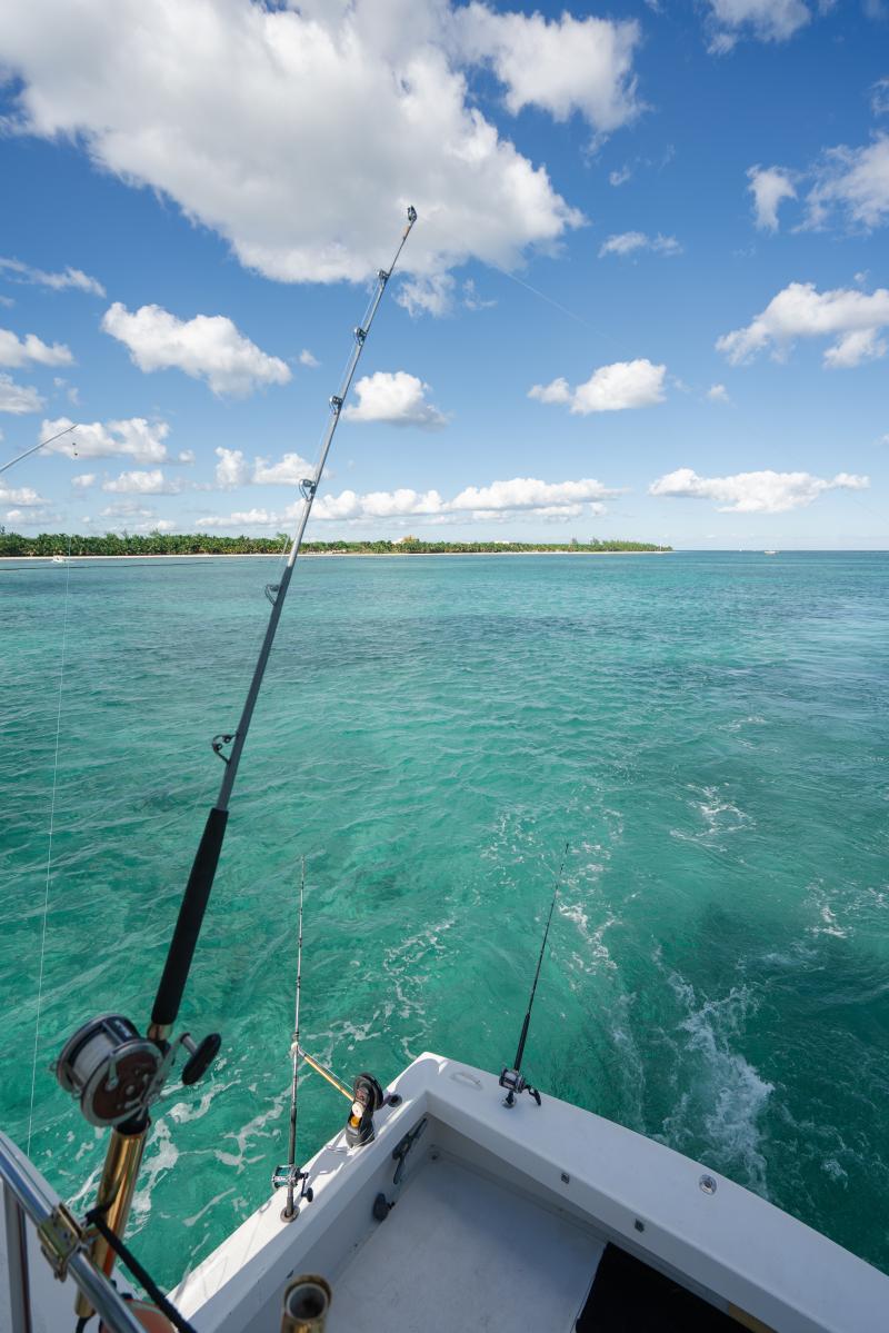 Anglers Fishing Anglers Fishing