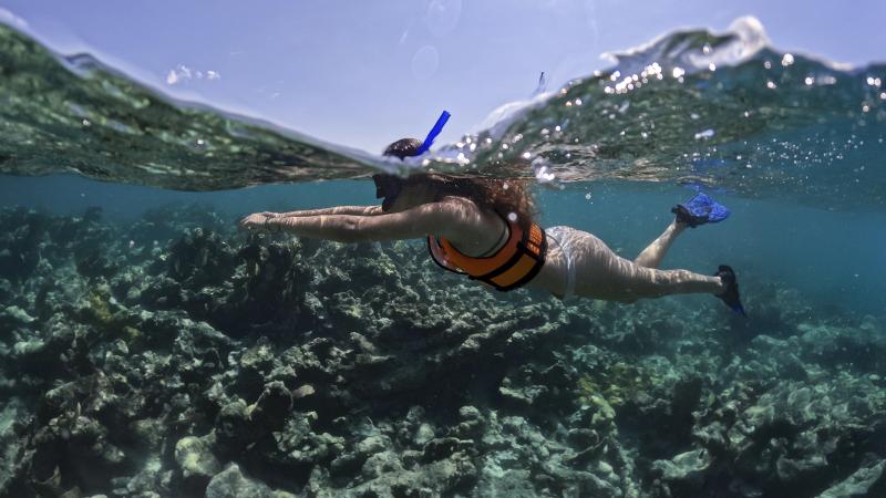 Jet Ski & Snorkel Adventure