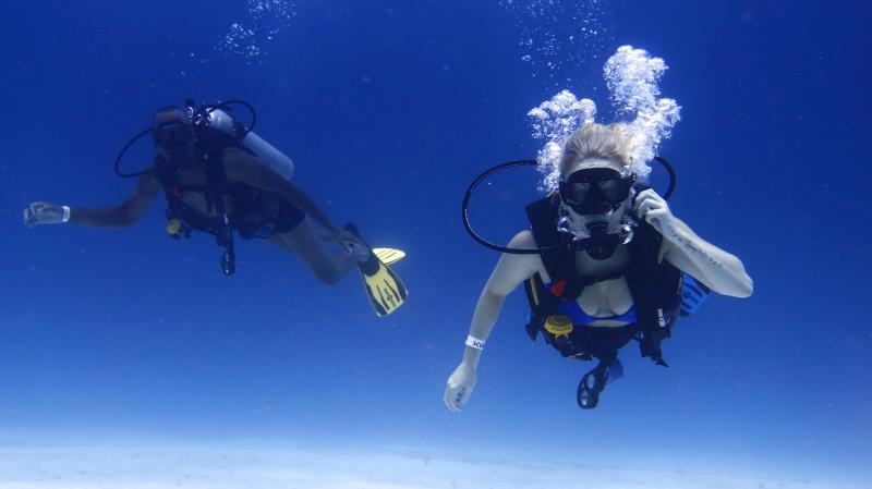 Scuba Certified Diving - 1 Tank