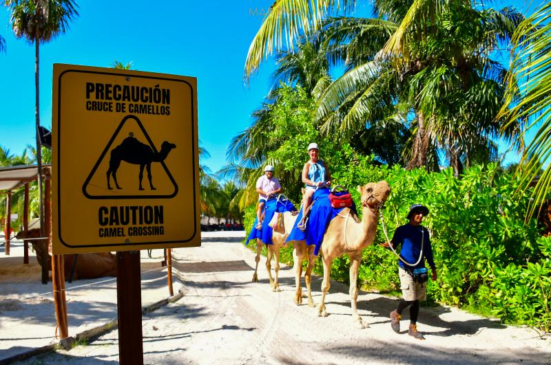 Camel Caravan Expedition