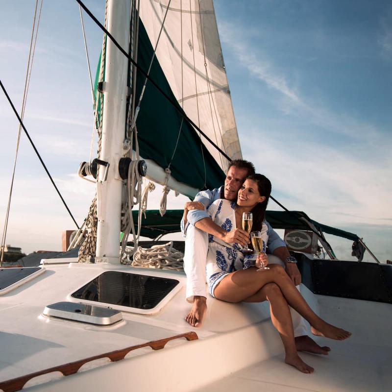 Sunset Cat & Cocktail