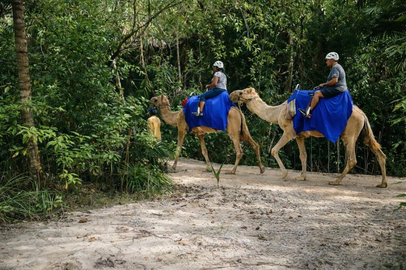 Camel Caravan Expedition