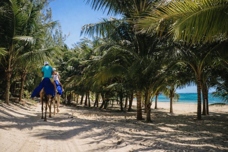 Camel Caravan Expedition