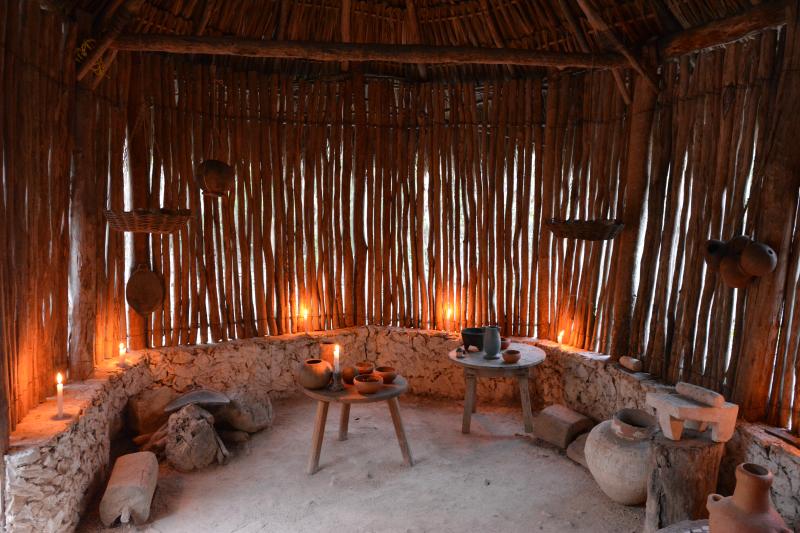 Mayan Night