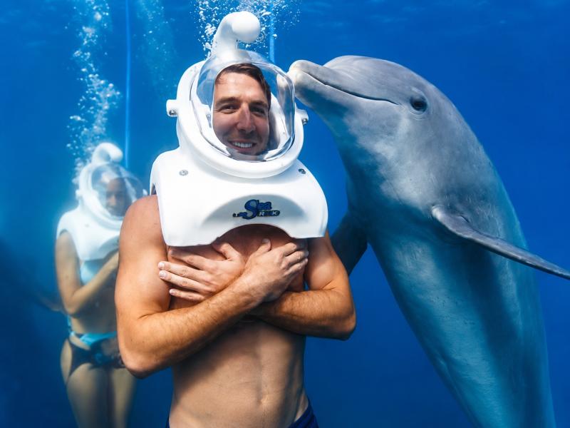 Dolphin Trek