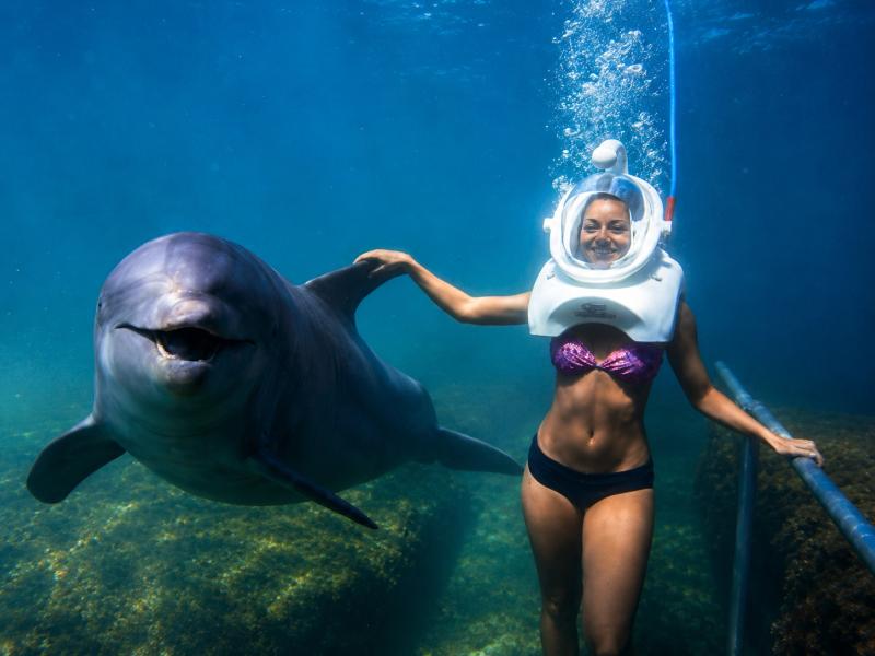 Dolphin Trek