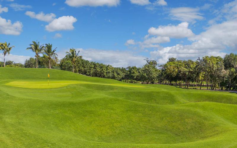 Iberostar Playa Paraiso Golf Club