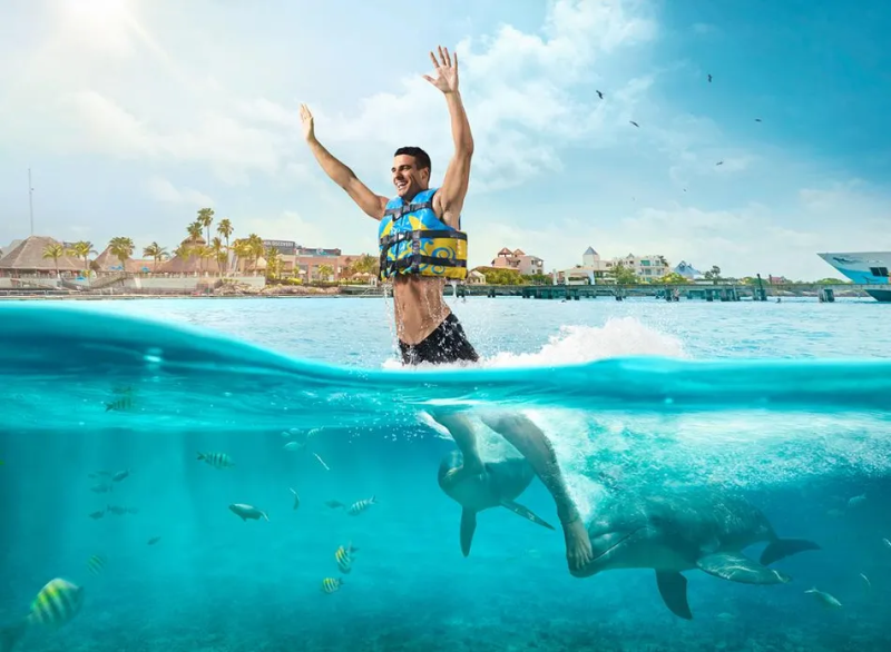 Akumal Dolphin Royal Swim