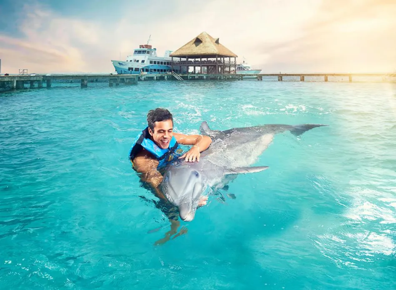 Akumal Dolphin Royal Swim