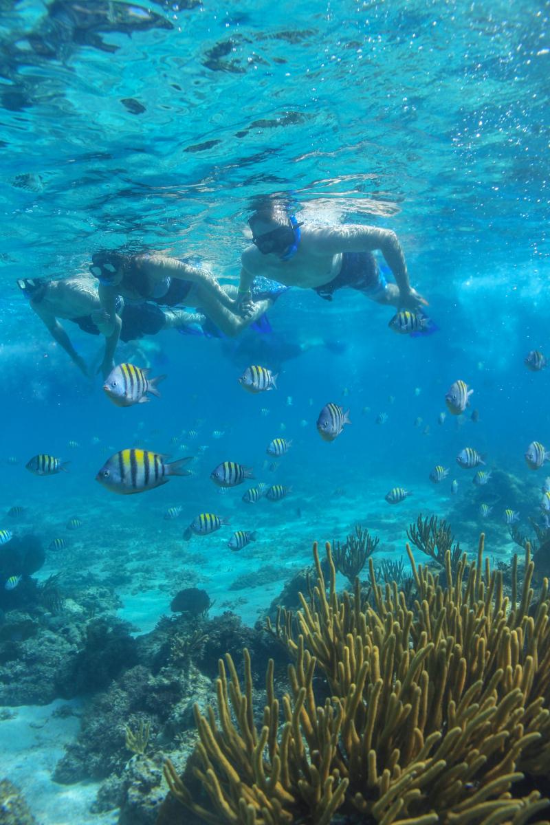 Cozumel Luxury Sailing & Snorkeling