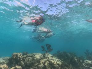 Catamaran & Reef Snorkel Basico Catamaran & Reef Snorkel Basico