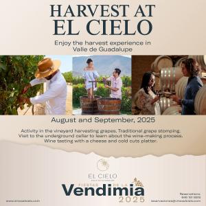 Vendimia en El Cielo