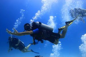 Scuba Certified Diving - 1 Tank