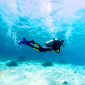 Scuba Referral e-learning