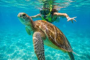 Monkey Snorkel