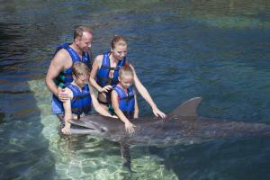 Acuario Splash 